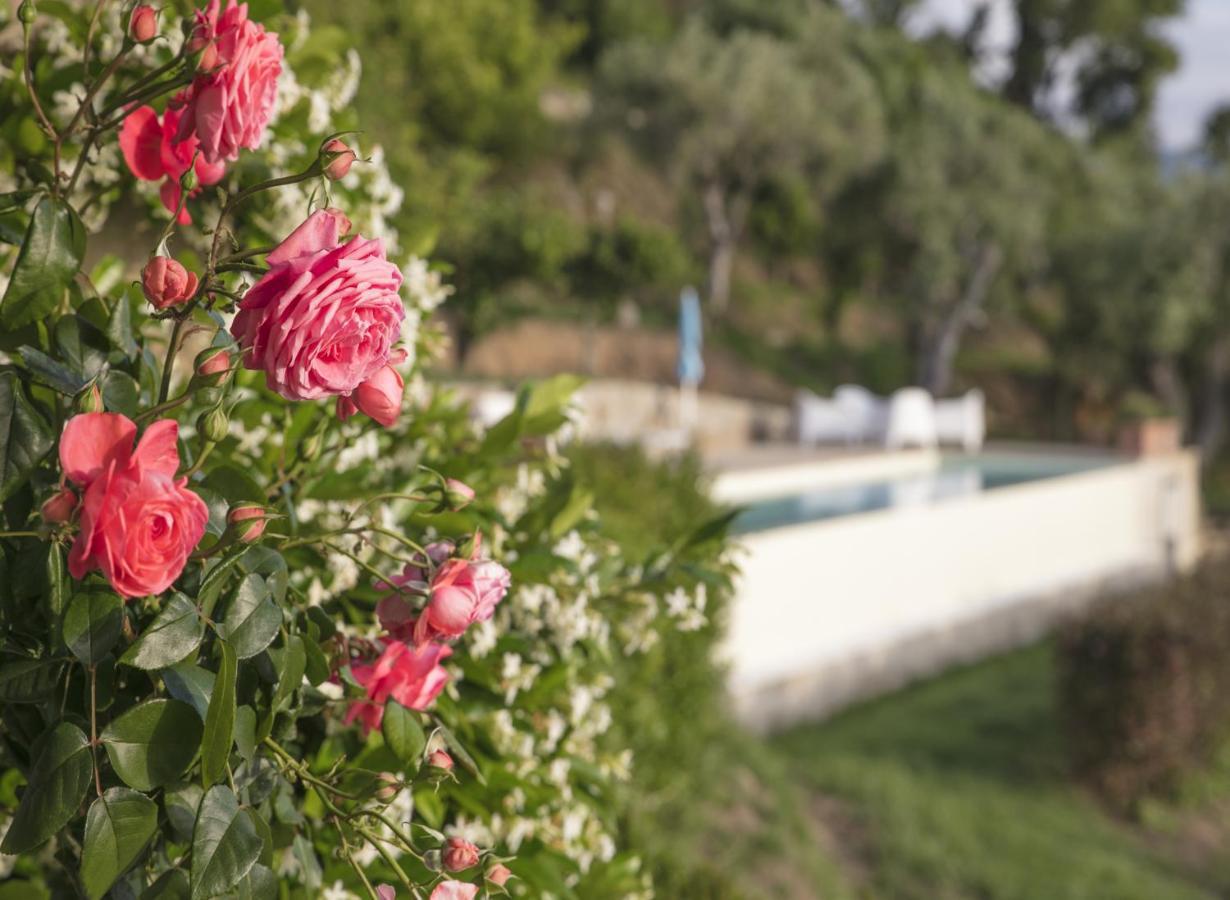 Villa Laura Capo dʼOrlando Εξωτερικό φωτογραφία